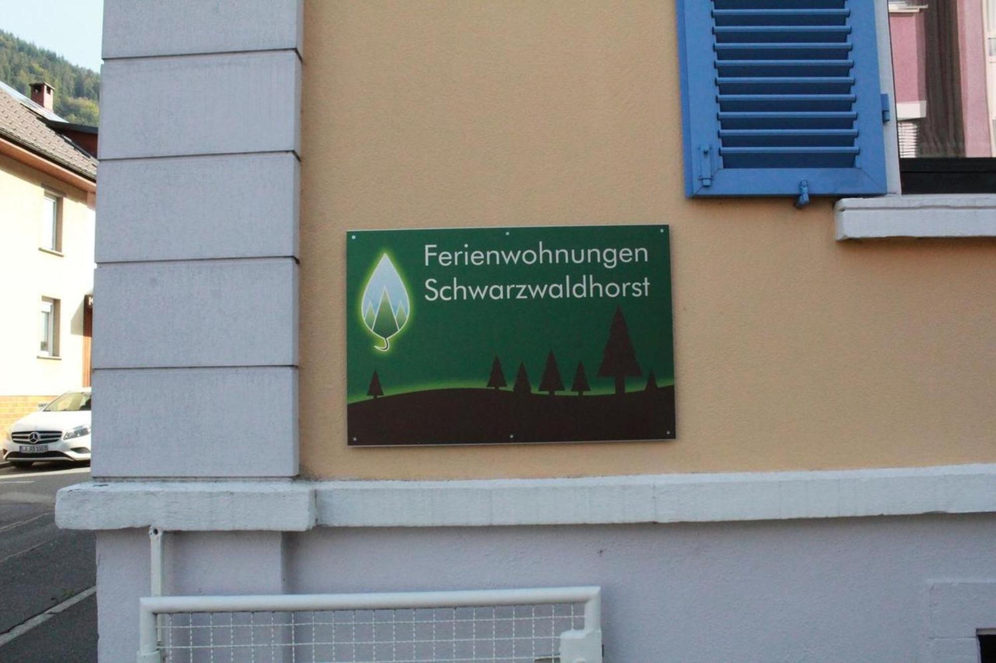 Schwarzwaldhorst 1 Fuer 8 Gaeste In Todtnau, Liftverbund Feldberg Dış mekan fotoğraf