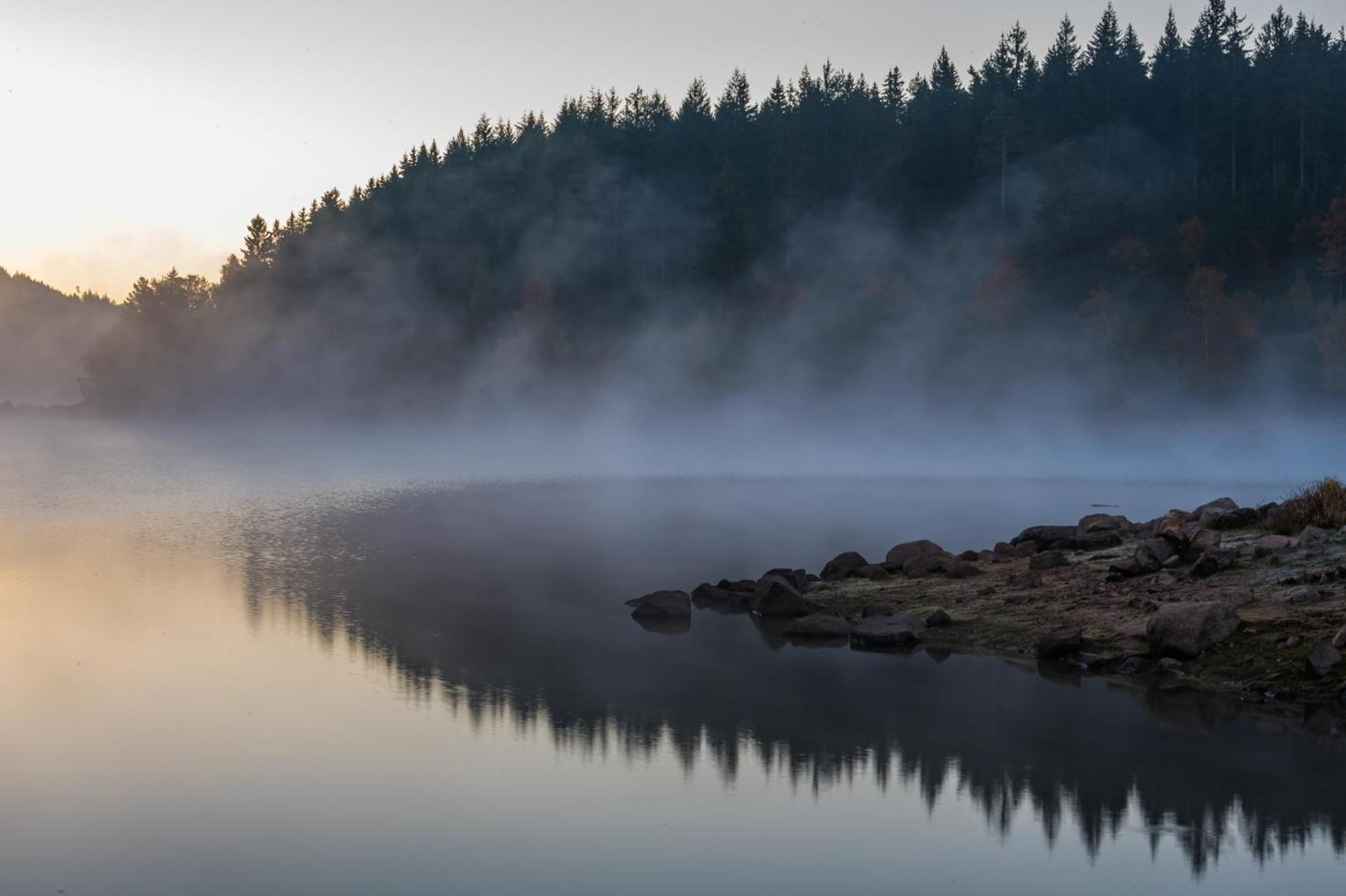Schwarzwaldhorst 1 Fuer 8 Gaeste In Todtnau, Liftverbund Feldberg Dış mekan fotoğraf