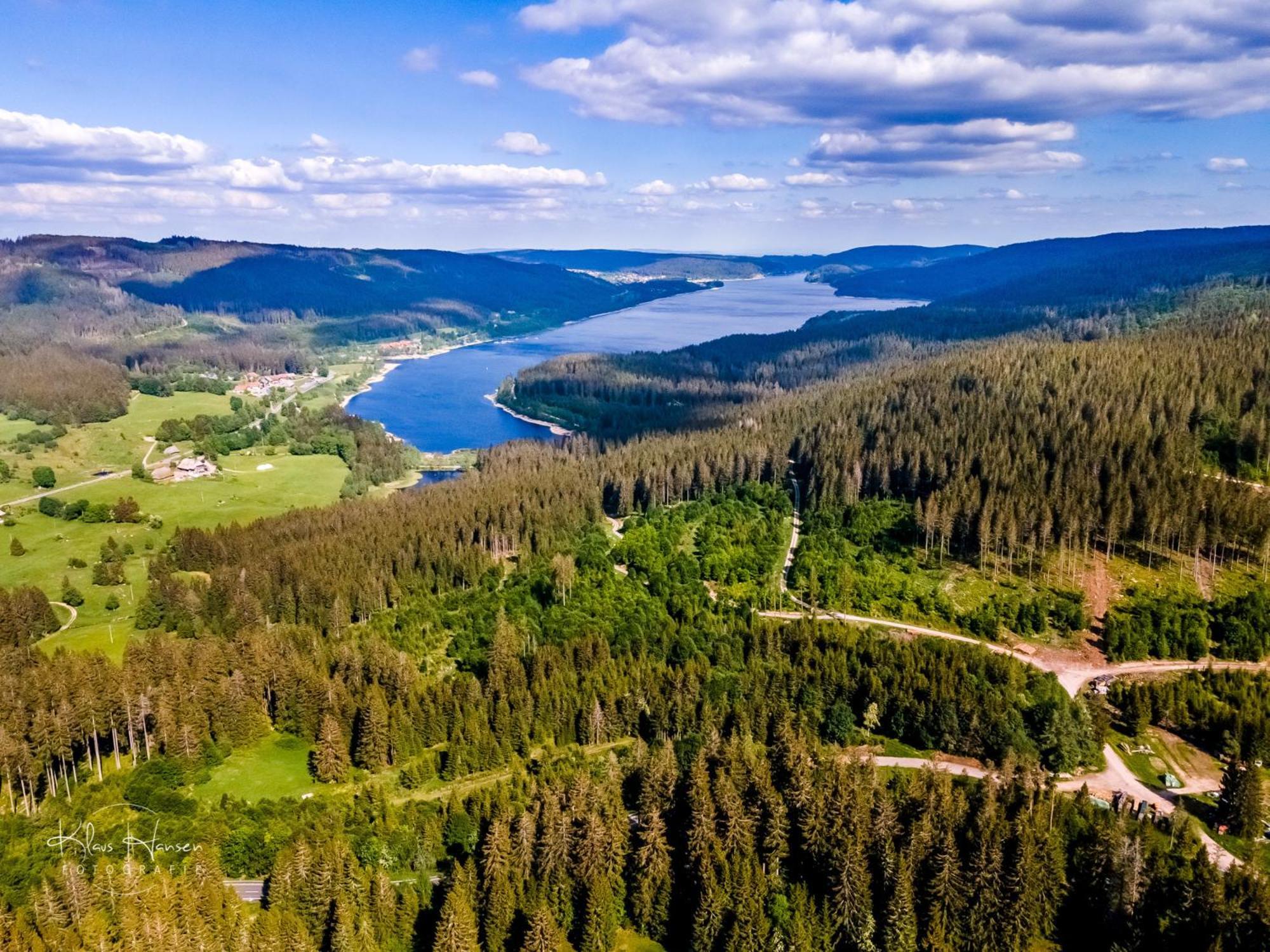Schwarzwaldhorst 1 Fuer 8 Gaeste In Todtnau, Liftverbund Feldberg Dış mekan fotoğraf
